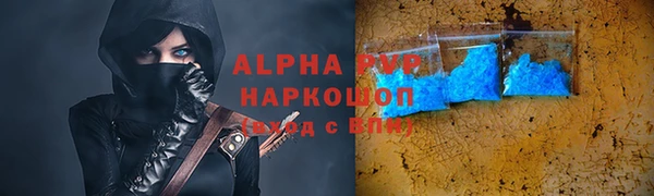 спайс Няндома